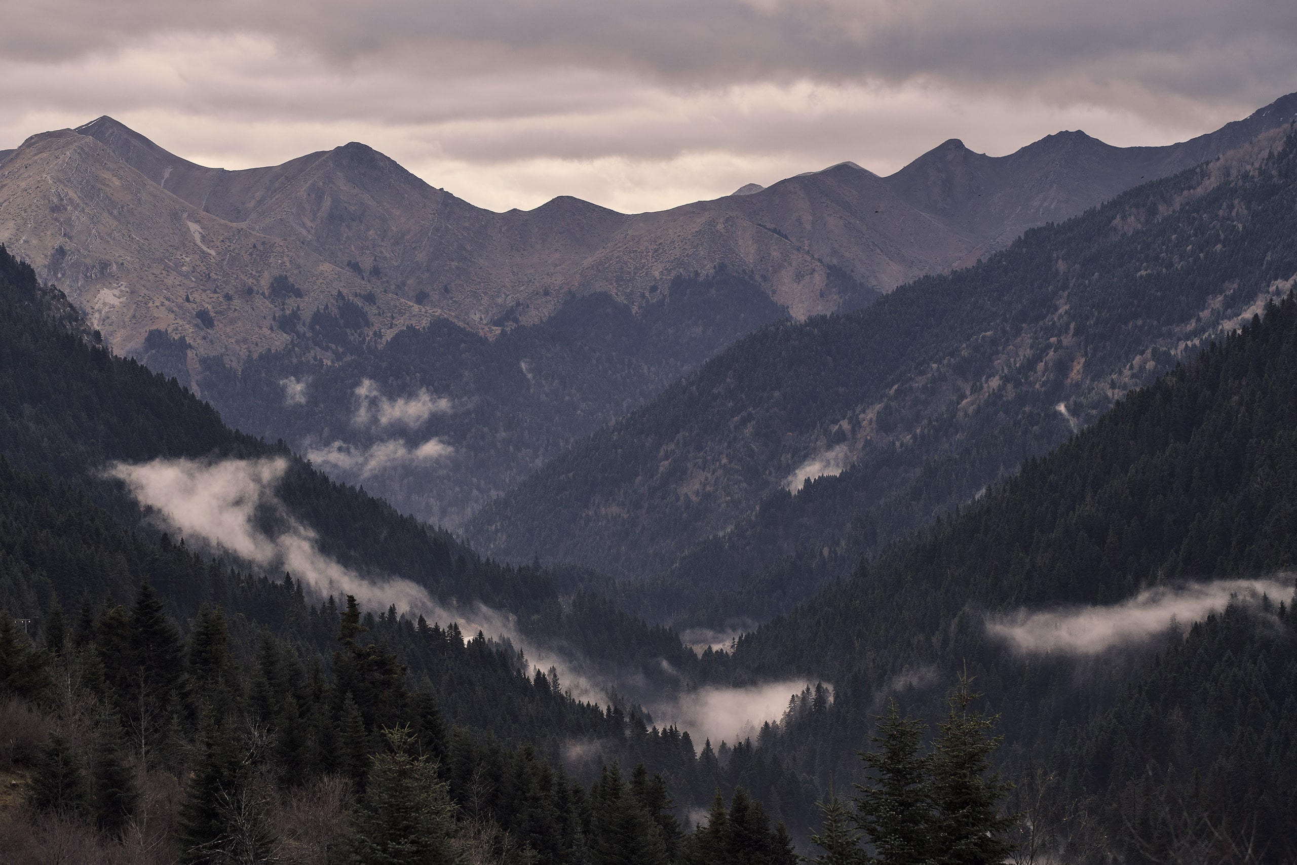 Grand Forest Metsovo — photo 2