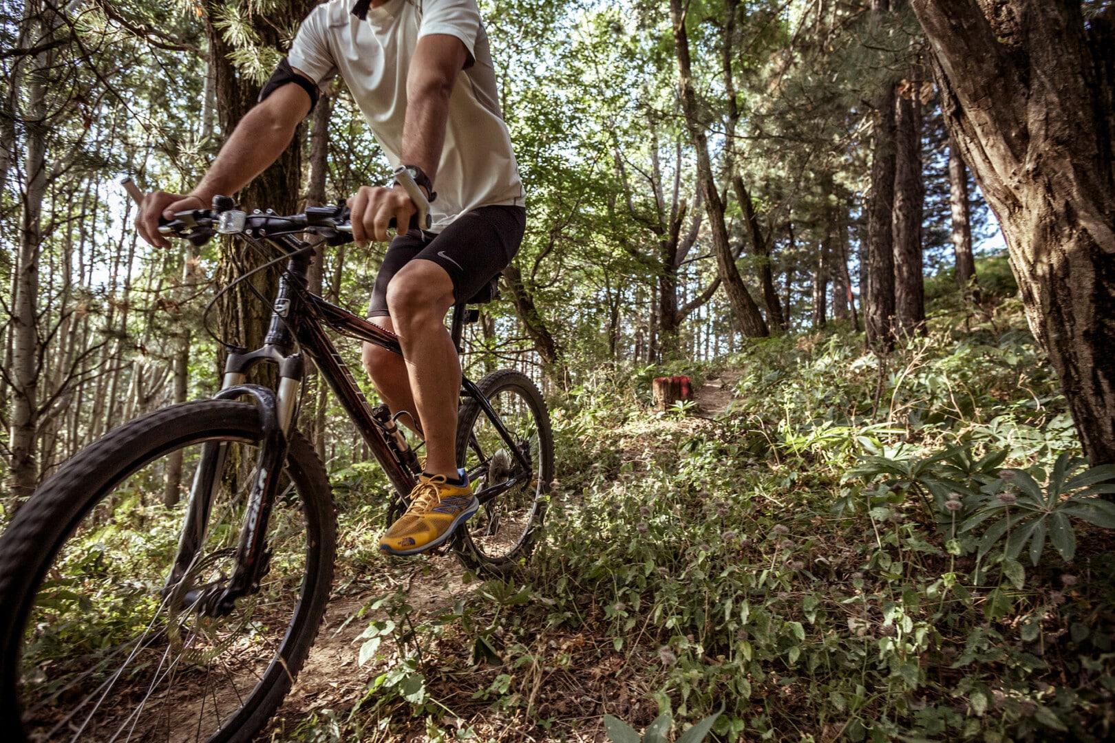 drz-grand-forest-metsovo_50014