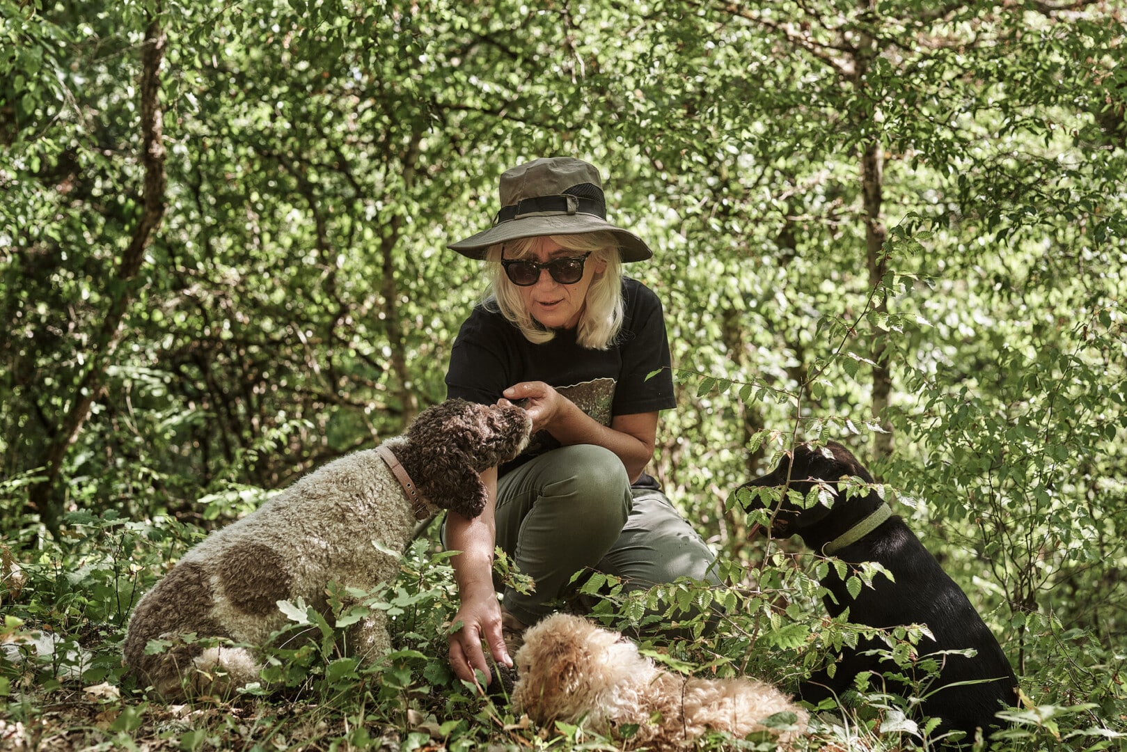 drz_grand-forest-metsovo_0785