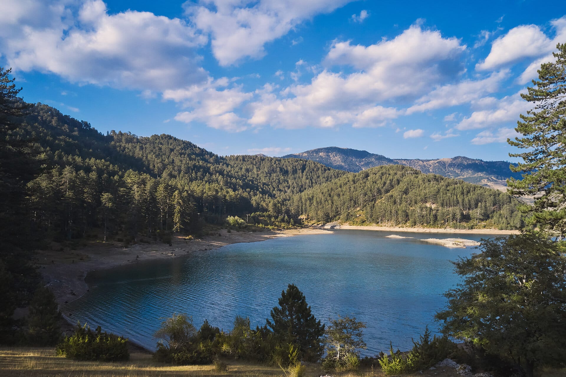 Grand Forest Metsovo — photo 3