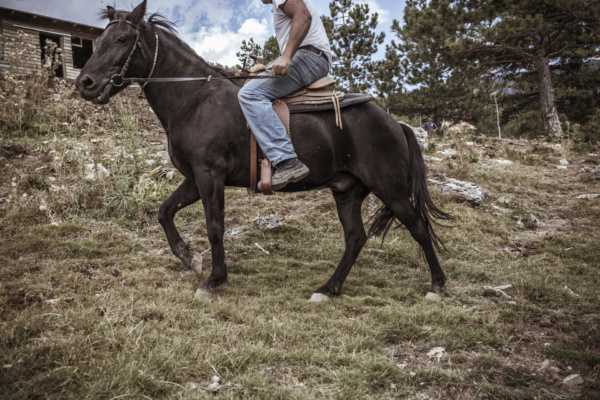 drz-grand forest metsovo_50008