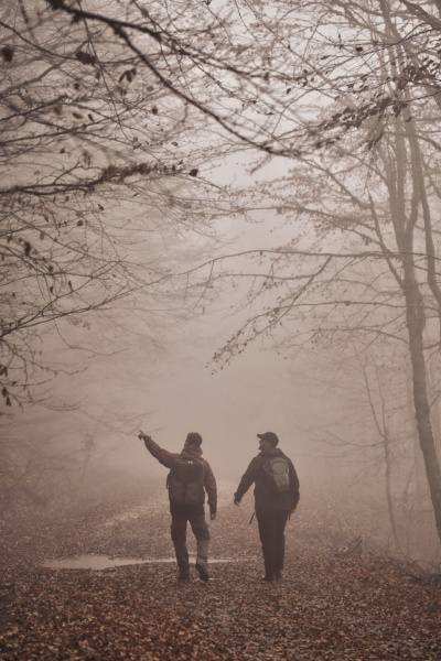grand forest_0030
